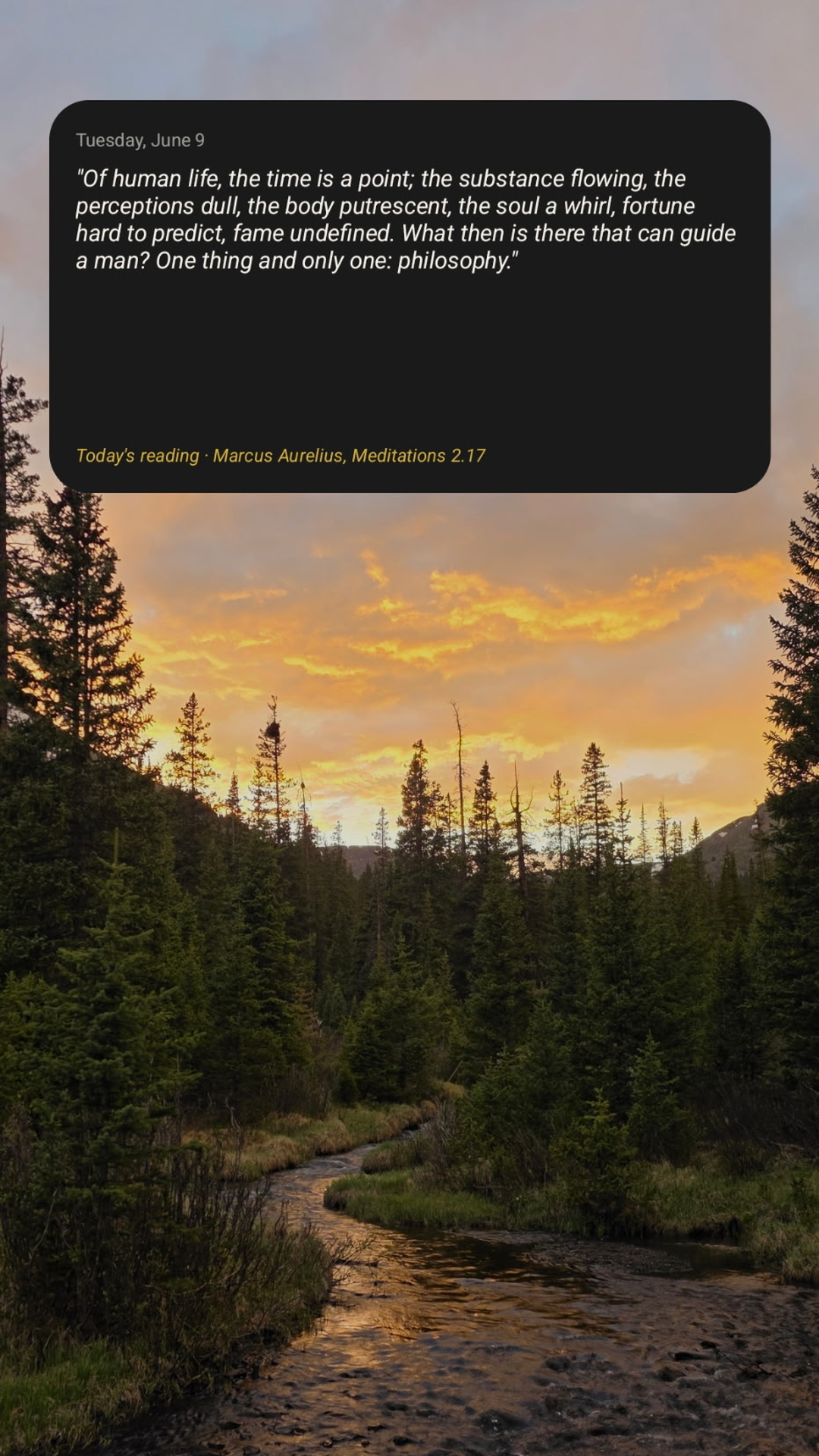 Widget on home screen